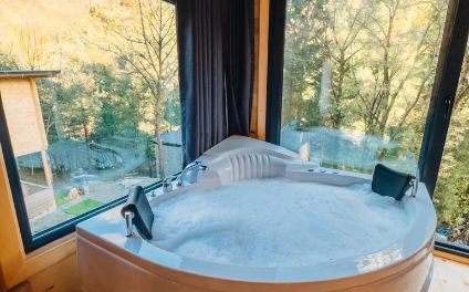 Rize Fırtına Deresi Manzaralı Jakuzili Suit Bungalov | İlan No: 0070